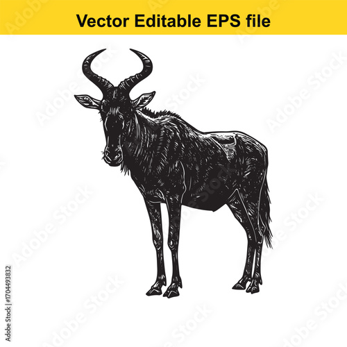 Vector art of wildebeest illustration