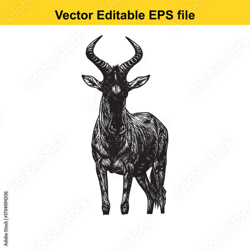 Vector art of wildebeest illustration