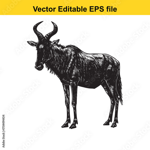 Vector art of wildebeest illustration