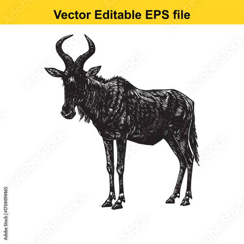 Vector art of black and white illustration of a wildebeest