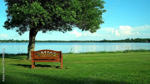 Wooden bench under tree by lakeside