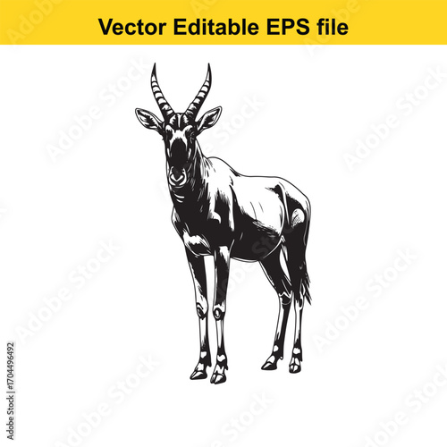 Illustration of a topi antelope standing