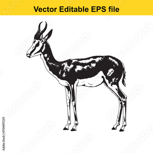 Illustration of a gazelle