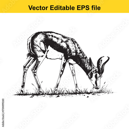 Illustration of a gazelle grazing in a field