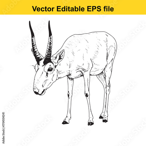 Vector art of saiga antelope illustration