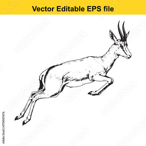 Vector art of gazelle jumping