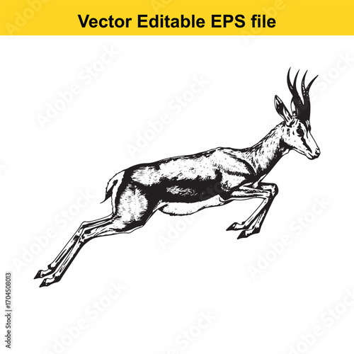 Illustration of a gazelle leaping