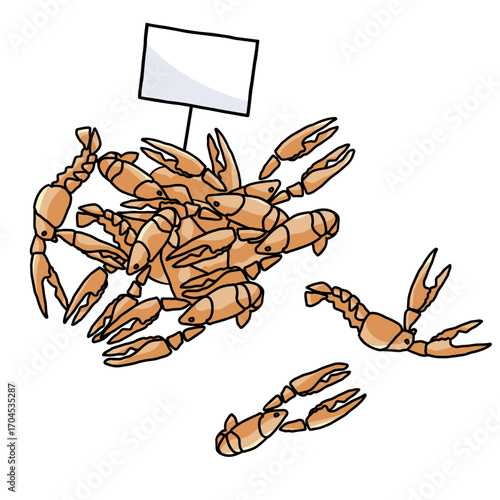 lots of boiled langoustines outline color vector illustration
