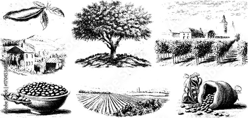 Vintage engraving style set of agricultural and rural scenes for print and design