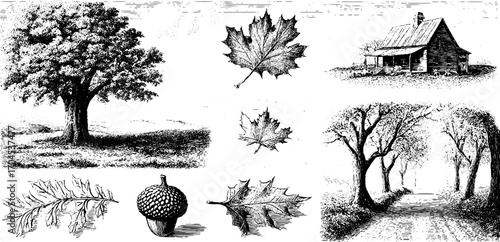 Vintage nature and rural scene engraving set featuring trees, leaves, cabin, and pathway