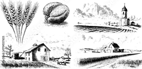 Rural scenery and harvest elements in engraving style — wheat, church, farmhouse, and landscape