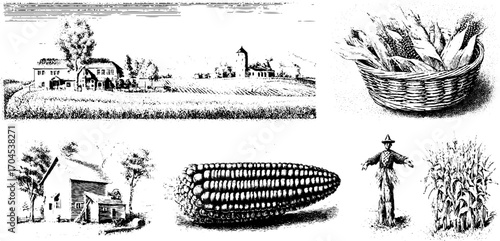 Rustic countryside harvest scene engraving set featuring farmhouse, cornfield, and basket of produce