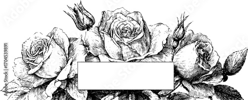 Ornamental vintage floral frame illustration for decorative banners