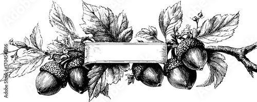Ornamental vintage frame with acorn and oak leaves for elegant design