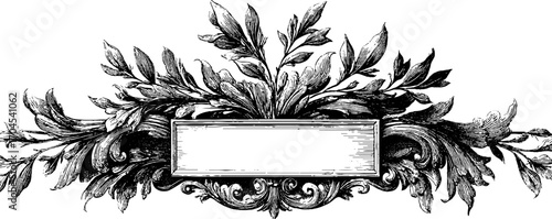 Ornamental vintage frame with decorative floral design for elegant banners