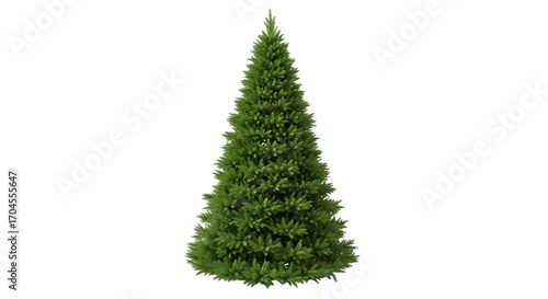 Unadorned Green Fir Tree Christmas tree evergreen