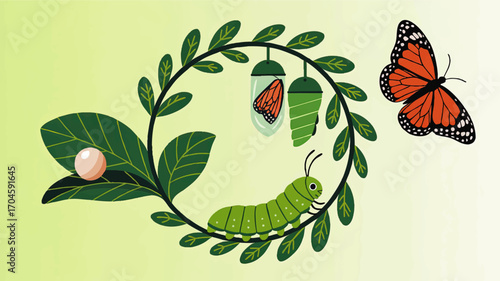 Monarch Butterfly Life Cycle Illustration – Egg, Caterpillar, Chrysalis, and Adult Butterfly on Green Leaves, Nature Education
