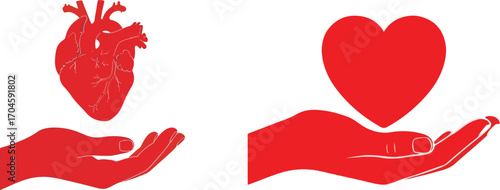 Heart In Hand Concepts with Anatomical Heart and Simple Red Heart