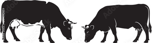 Black and White Silhouettes of Two Grazing Cows