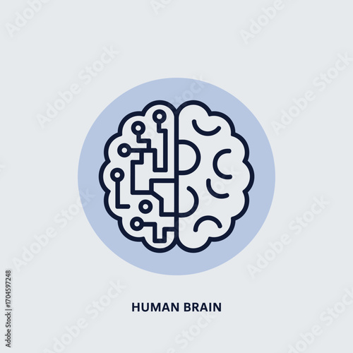 This image depicts a stylized human brain, split between organic and technological sides, illustrating the fusion of human intellect and artificial intelligence.