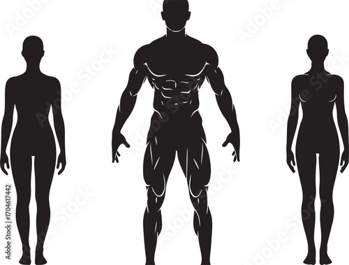 Silhouette of Male and Female Bodies
