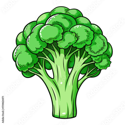 vector Hand drawn Broccolis, sketch style, isolated on white background