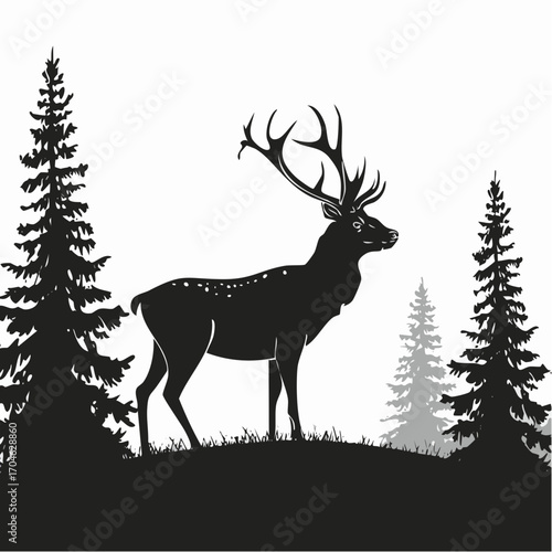 Photography Adult male deer