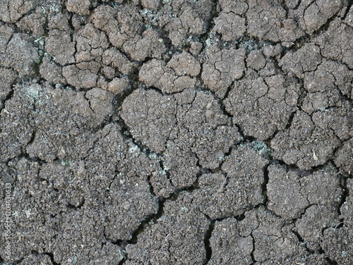 Dry cracked soil texture. Natural background of parched earth showing drought, climate change impact, and environmental degradation