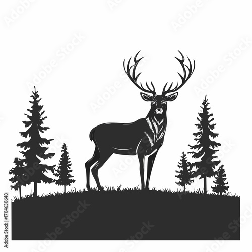 Photography Adult male deer