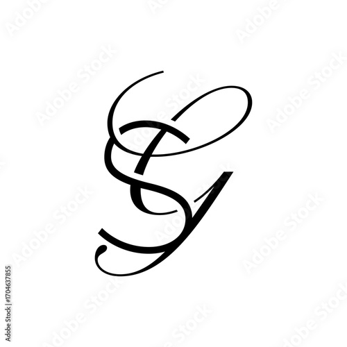 initial letter s with g script logo