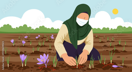 Flat Illustration of a Woman Harvesting Saffron in a Field Under a Sunny Sky
