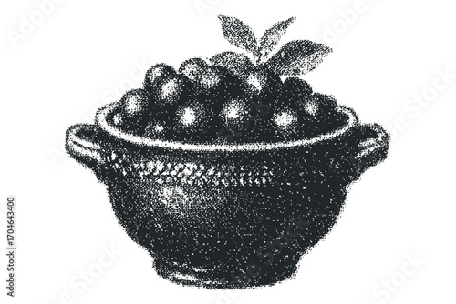Hand drawn charcoal sketch of dark cherries in a rustic pot with leaves. Vector hand drawn illustration