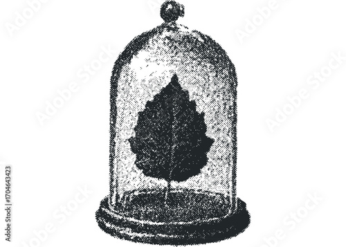 Isolated specimen of a single leaf encased in a glass bell jar. Vector hand drawn illustration