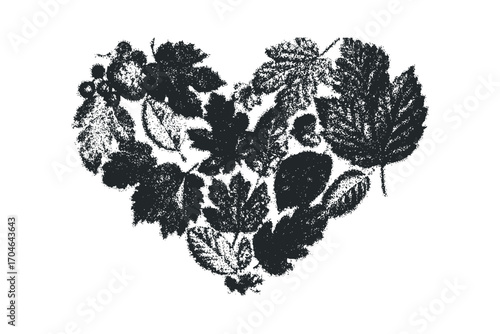 Heart shape composed of various textured botanical leaves on transparent background. Vector hand drawn illustration