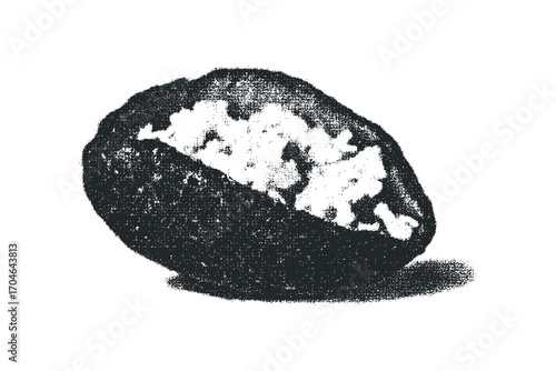 Halved Raw Avocado Seed Isolated. Vector hand drawn illustration