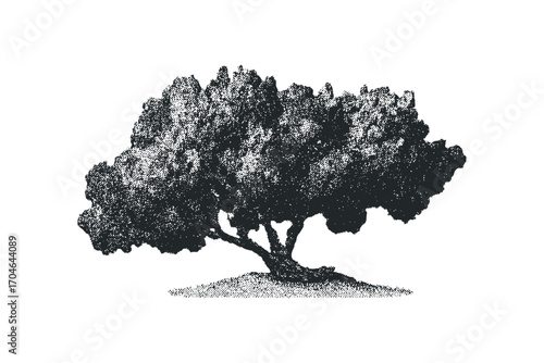 Textured Black Silhouette of a Gnarled Tree on White. Vector hand drawn illustration