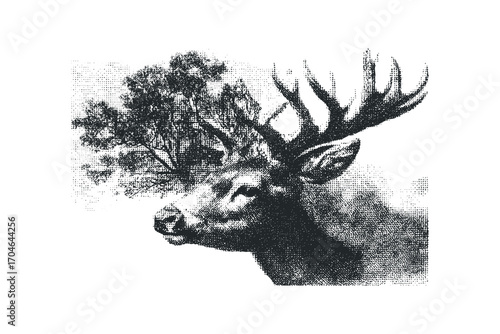 Stag with Forest Canopy on Transparent Background. Vector hand drawn illustration