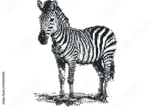 Zebra with stripes made of small squares on transparent. Vector hand drawn illustration