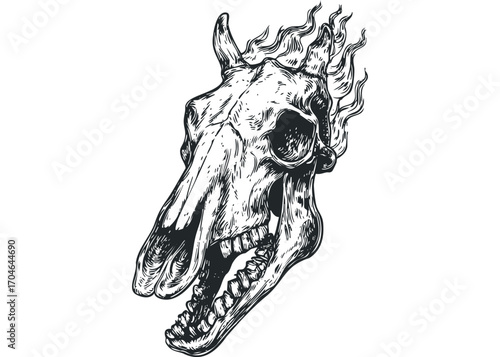 Horse Skull with Fiery Mane Image. Vector hand drawn illustration