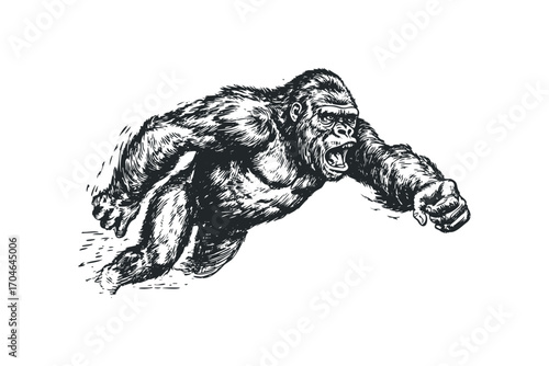 Fierce gorilla in dynamic pose image. Vector hand drawn illustration