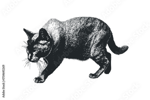Textured Siamese Cat with Halftone Effect. Vector hand drawn illustration