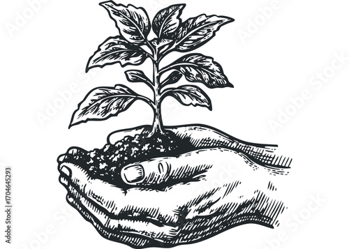Hands cradling soil with young plant. Vector hand drawn illustration