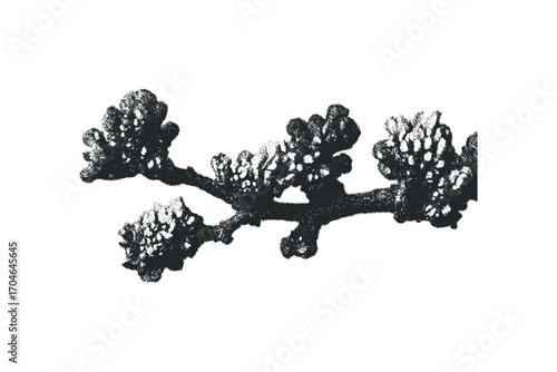 Textured botanical branch with stippled effect. Vector hand drawn illustration