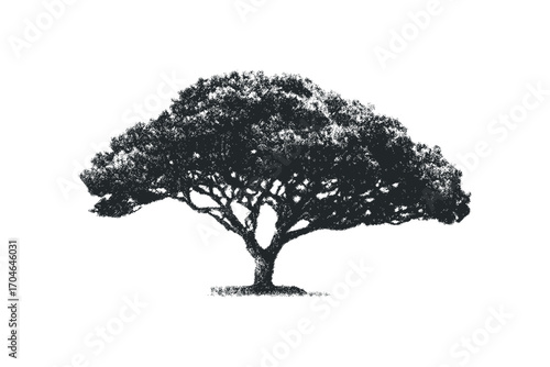 Grayscale Tree Silhouette on Transparent Background. Vector hand drawn illustration
