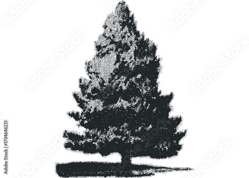 Coniferous tree with halftone texture on white. Vector hand drawn illustration