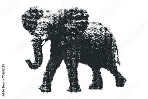 Pachyderm walking image on transparent background. Vector hand drawn illustration