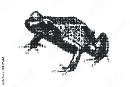 Halftone dot frog image on transparent background. Vector hand drawn illustration