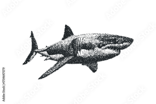 Shark swimming isolated on transparent background,. Vector hand drawn illustration