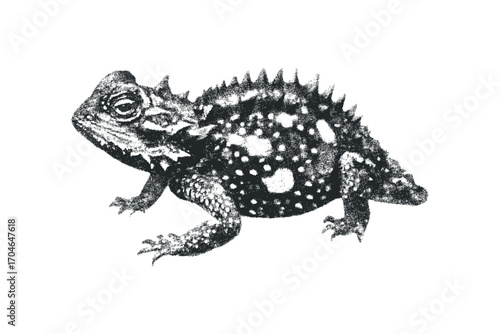 Textured reptile with thorny skin on a transparent background. Vector hand drawn illustration
