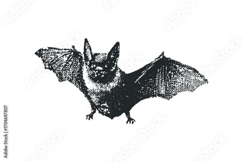 Bat in flight, dark stippled graphic on white. Vector hand drawn illustration